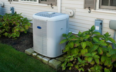 Breathe Easier: How Your HVAC System Can Alleviate Spring Allergies